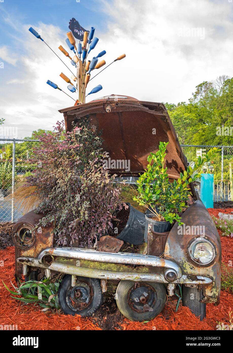 Der Green House Nursery ist laut seinem Besitzer das „Plant Disneyland“, der die 19 Hektar großen Gärten und Baumschulen mit phantasievollen und lustigen Pflanzen gefüllt hat Stockfoto