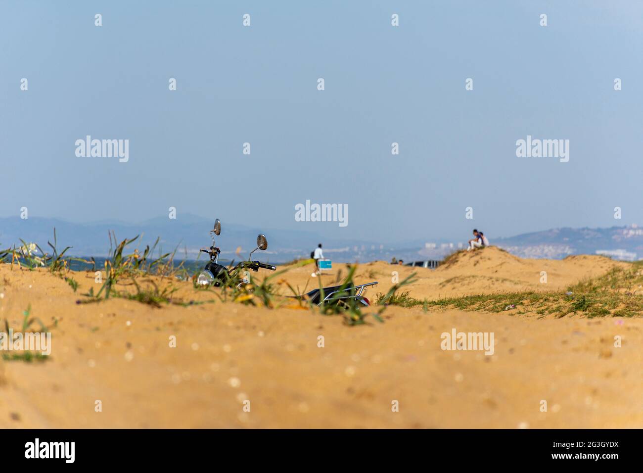 Nahaufnahme des Grases am Sandstrand und Motorrad im Hintergrund. Stockfoto