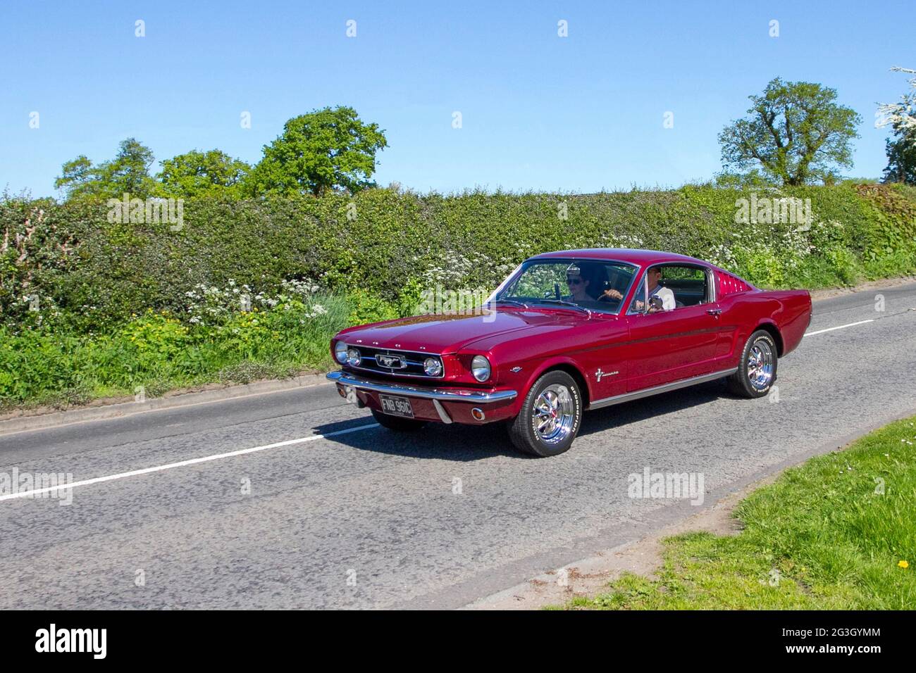 1965 60s Red Ford Mustang 4948 cc 2DR Fastback Sportster auf dem Weg zur Capesthorne Hall classic May Car Show, Ceshire, UK Stockfoto