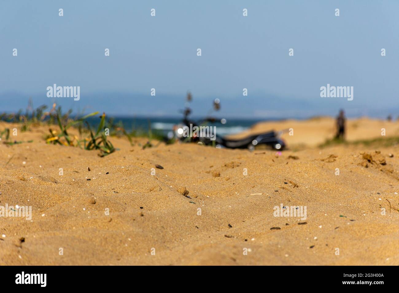 Nahaufnahme des Grases am Sandstrand und Motorrad im Hintergrund. Stockfoto