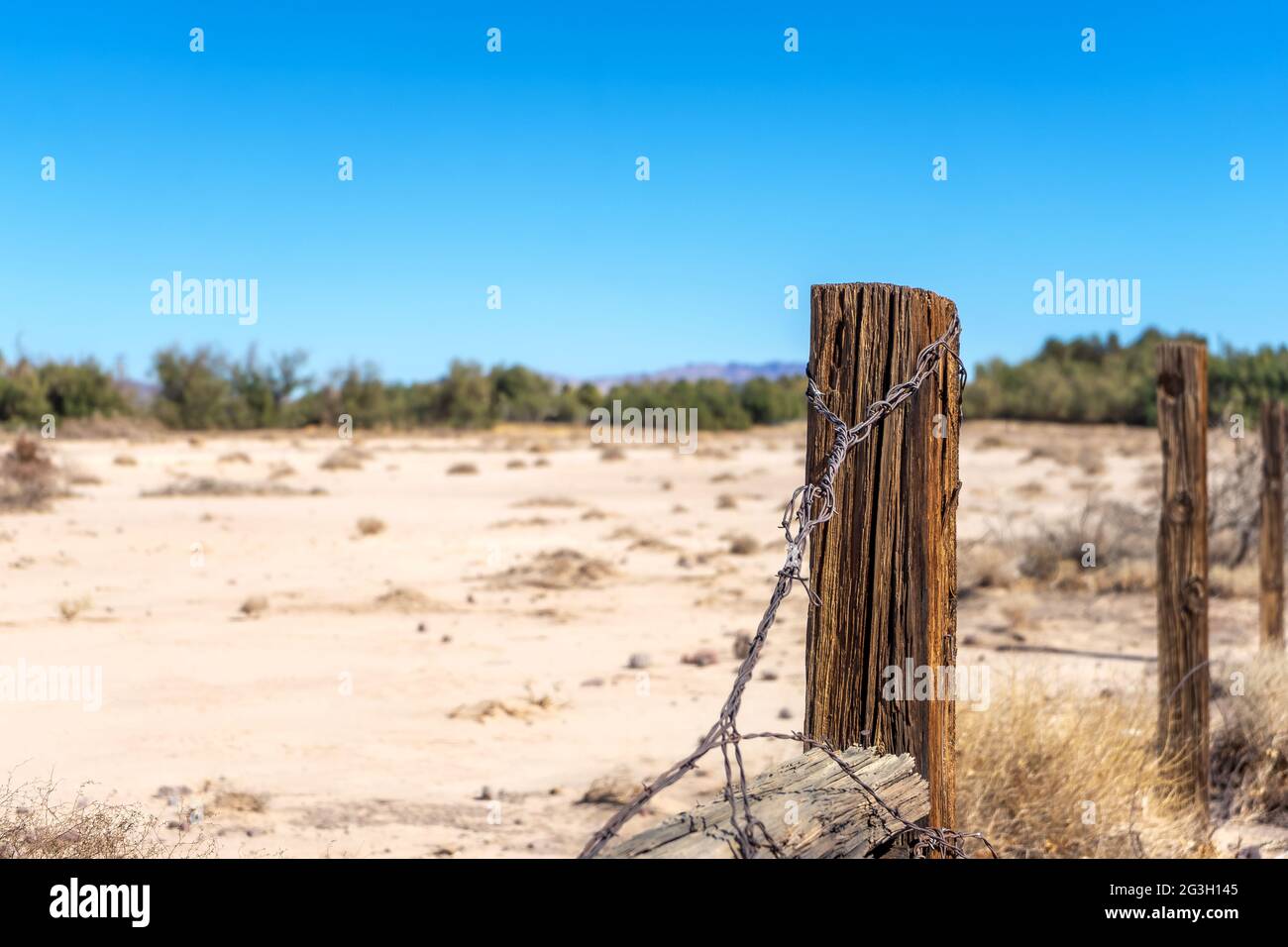 Holzzaunpfosten mit rostigen Stacheldraht in einem sandigen Feld Stockfoto