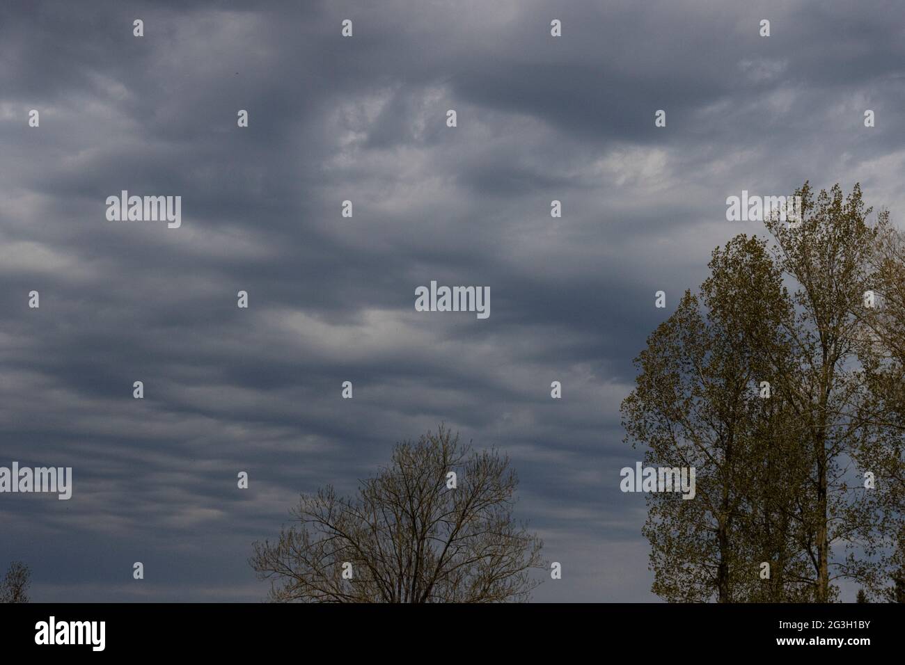 Dramatische Wolken in Belgien Stockfoto