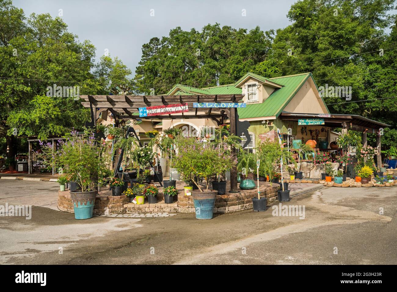 Der Green House Nursery ist laut seinem Besitzer das „Plant Disneyland“, der die 19 Hektar großen Gärten und Baumschulen mit phantasievollen und lustigen Pflanzen gefüllt hat Stockfoto