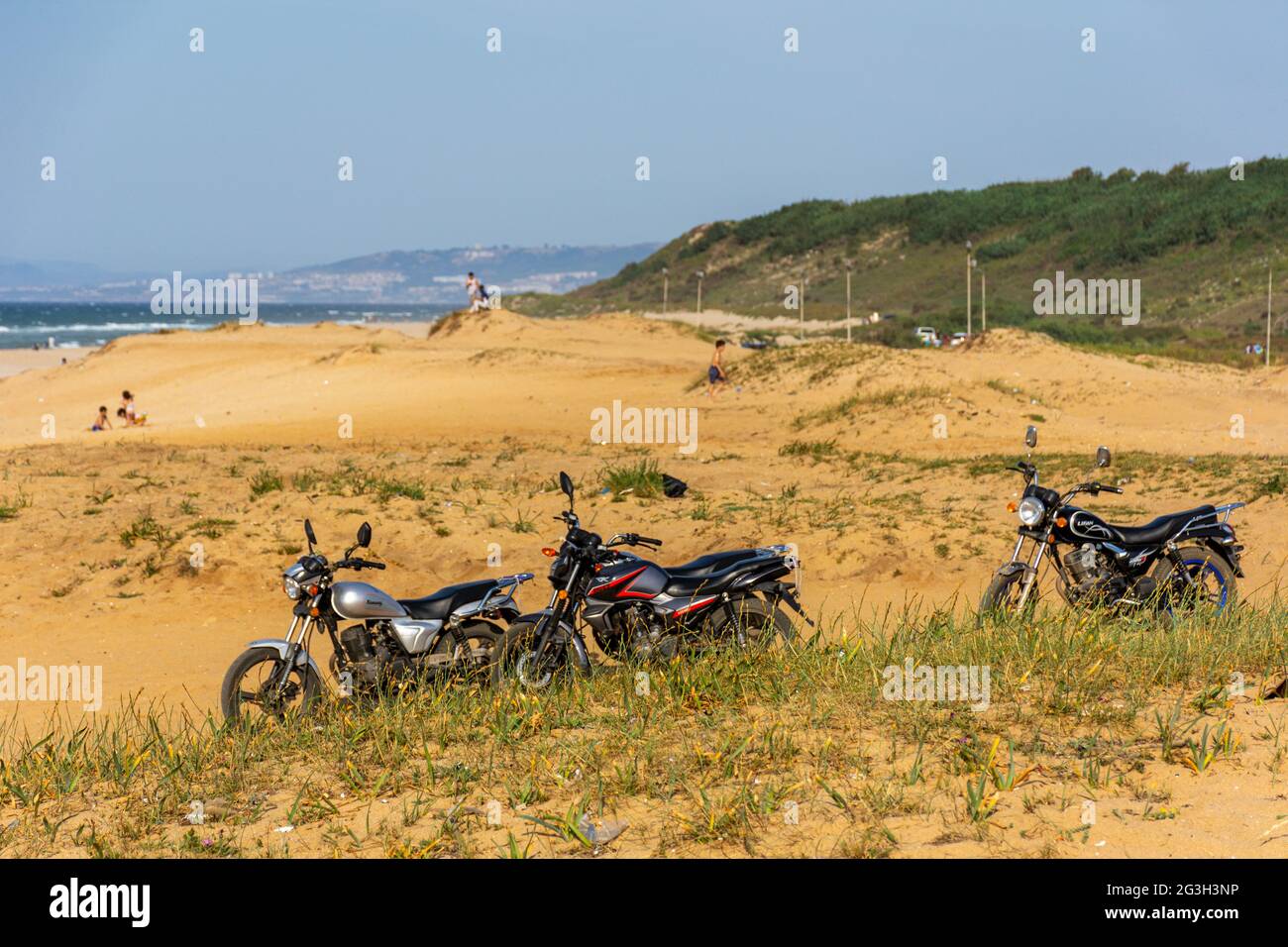 Nahaufnahme des Grases am Sandstrand und Motorrad im Hintergrund. Stockfoto