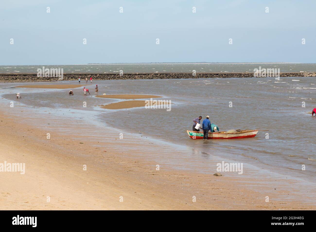 Die Einheimischen sammeln Muscheln am Strand Stockfoto