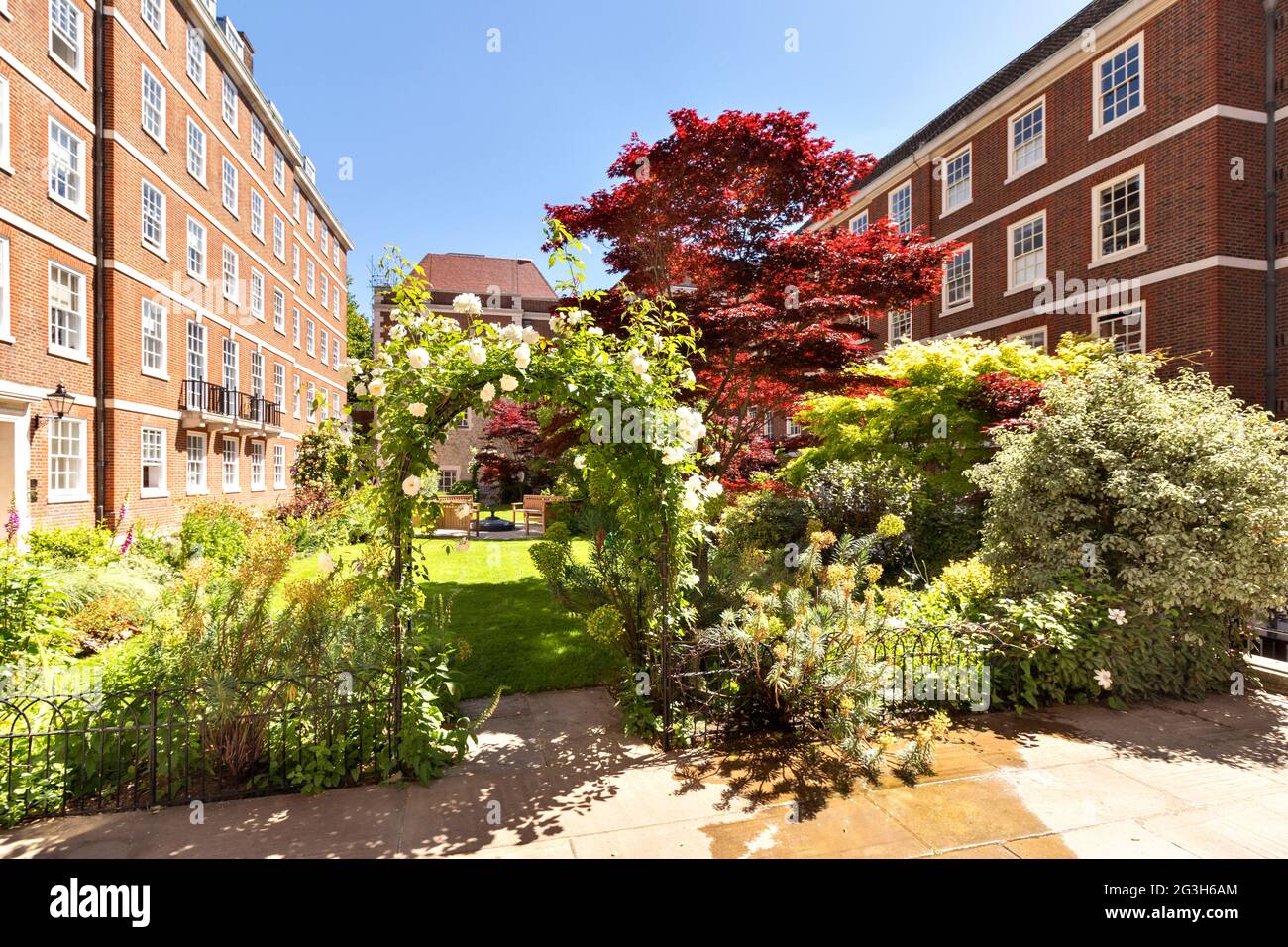 LONDON ENGLAND EINGANG ZU EINEM MITTLEREN TEMPELGARTEN MIT TORBOGEN AUS WEISSEN ROSEN IM FRÜHSOMMER Stockfoto
