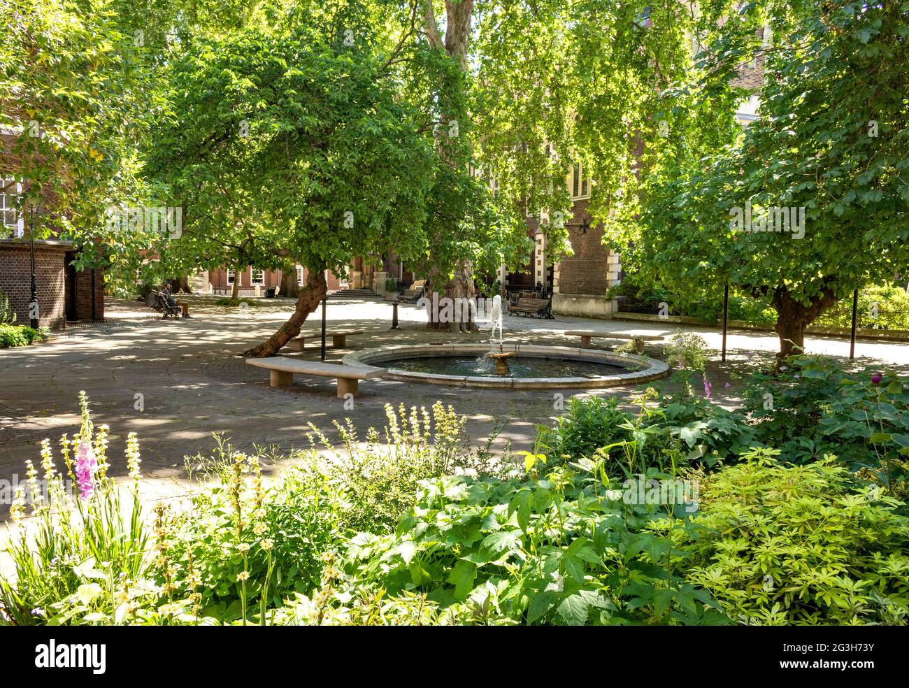 LONDON ENGLAND MITTELTEMPEL EIN MAULBEERBAUM BESCHATTETEN HOF MIT SPRINGBRUNNEN TEICH UND GARTEN IM FRÜHSOMMER Stockfoto