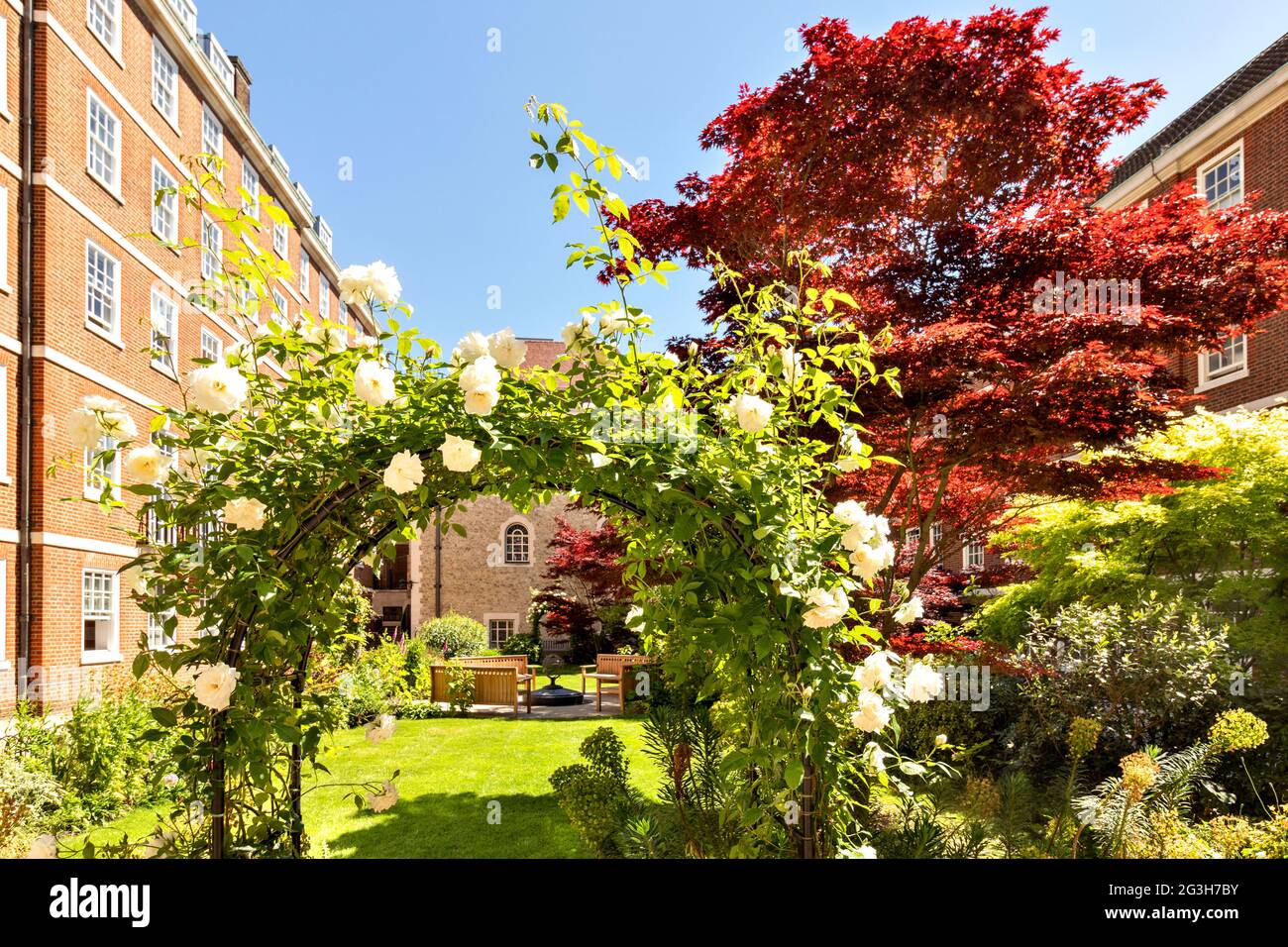 LONDON ENGLAND MITTLERE TEMPELGÄRTEN MIT TORBOGEN AUS WEISSEN ROSEN IM FRÜHSOMMER Stockfoto