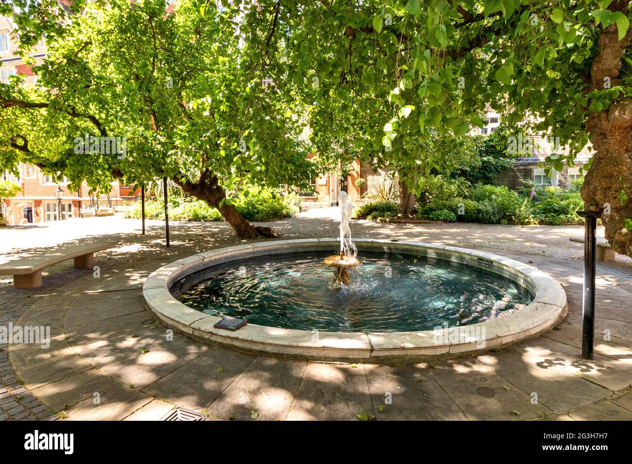 LONDON ENGLAND MITTELTEMPEL MAULBEERBAUM BESCHATTETEN HOF MIT BRUNNEN UND TEICH IM FRÜHSOMMER Stockfoto