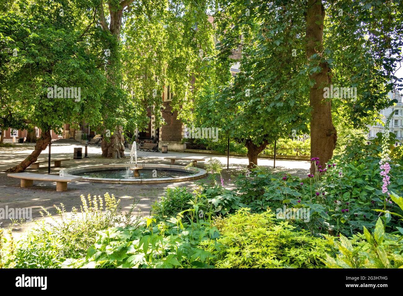 LONDON ENGLAND MITTELTEMPEL MAULBEERBAUM BESCHATTETEN HOF MIT SPRINGBRUNNEN TEICH UND GARTEN IM FRÜHSOMMER Stockfoto