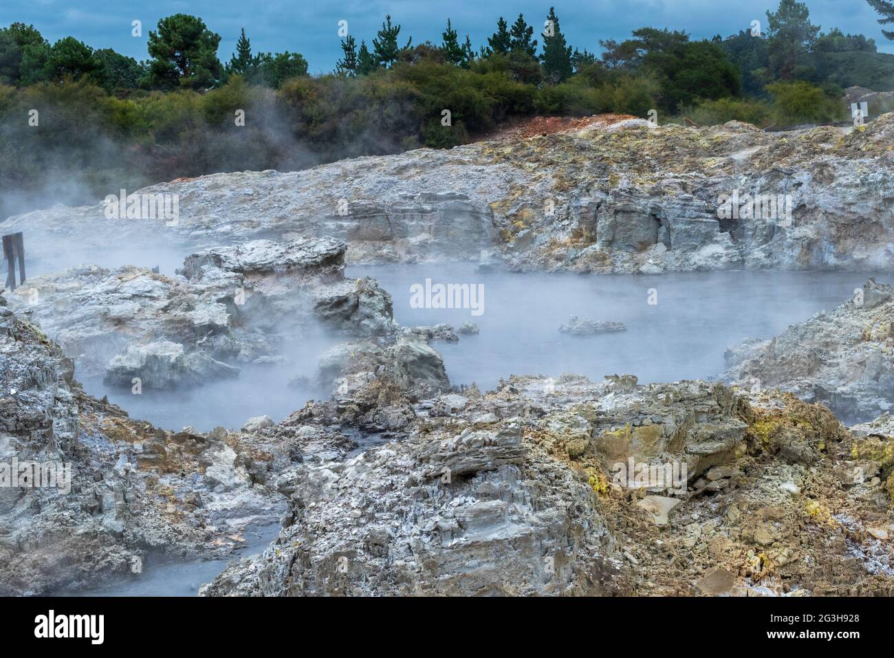 Foto des heißen Dampfes, der aus den Geothermie-Pools am Hells Gate, NZ, aufsteigt Stockfoto