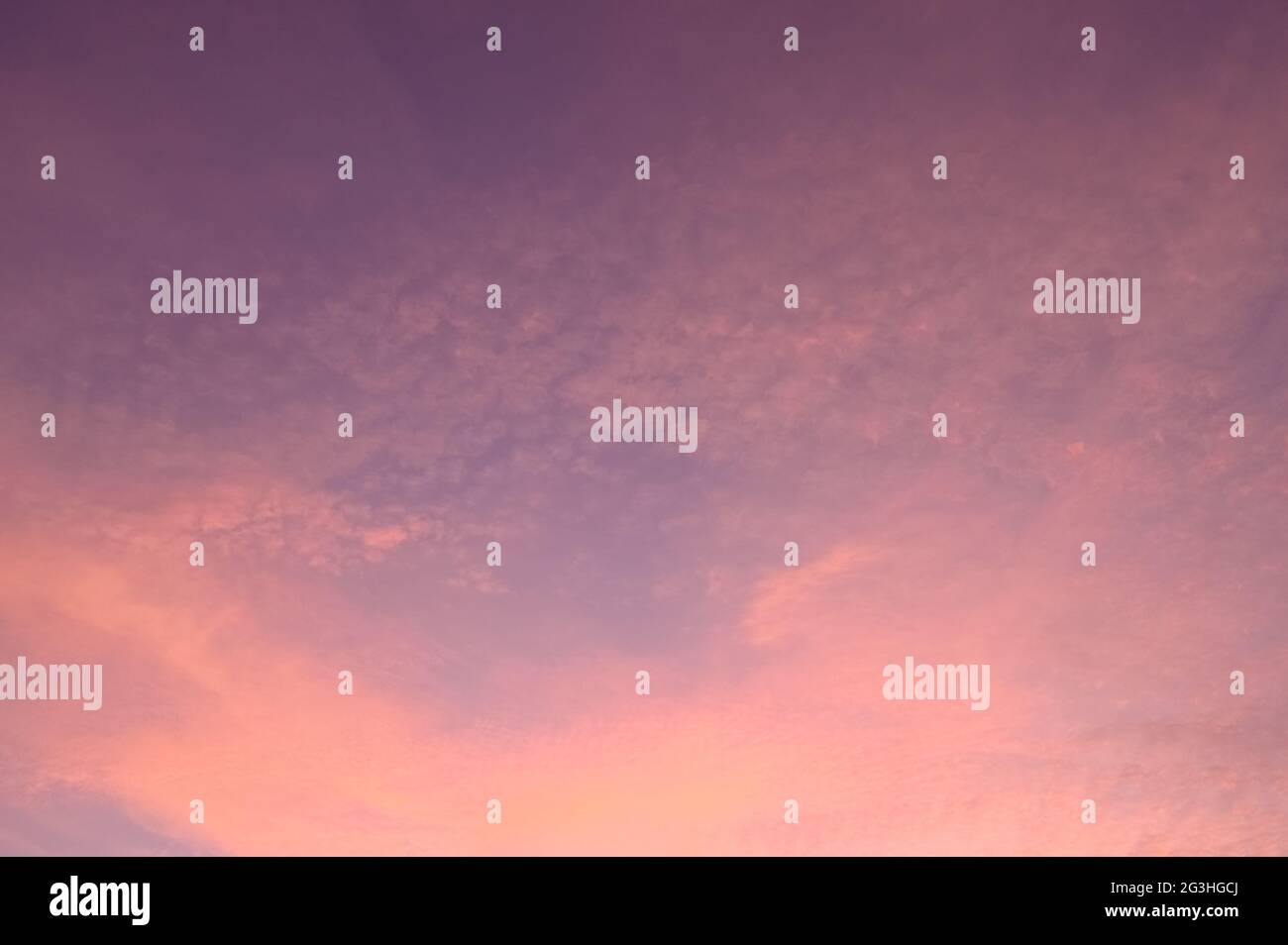 Rosa Zirruswolken und Himmel bei Sonnenuntergang. Stockfoto