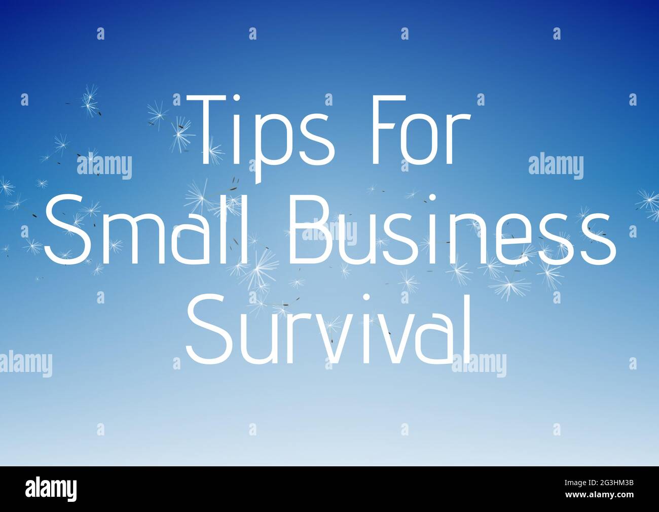 Zusammensetzung von Tipps für das Überleben von Kleinunternehmen Text in Weiß über den Androbelionssamen am sonnigen blauen Himmel Stockfoto