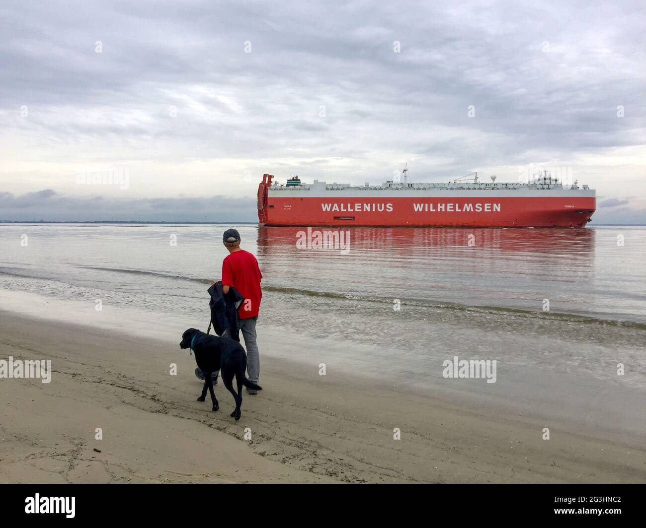 Ein Mann und ein Hund kommen an einem massiven Frachtschiff des Autoträgers in der Nähe von Brunswick, Georgia, dem drittgrößten roro, vorbei oder Rollen auf Rollen vom Handelshafen in den USA. Stockfoto