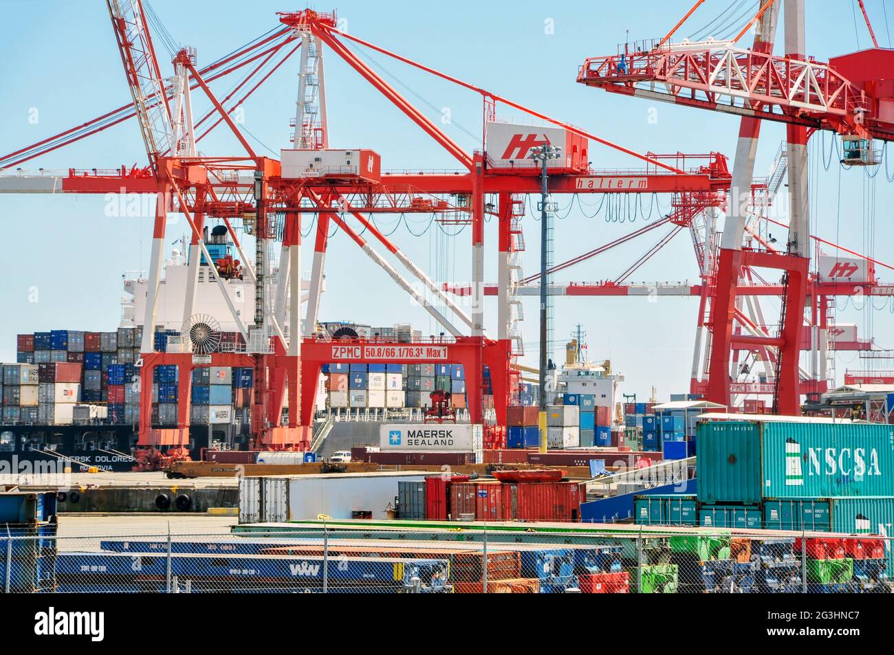 Hell, farbenfroh und extrem geschäftig, hat der Hafen von Halifax einen endlosen Strom von Containern, die aus der ganzen Welt ein- und ausfahren. Stockfoto
