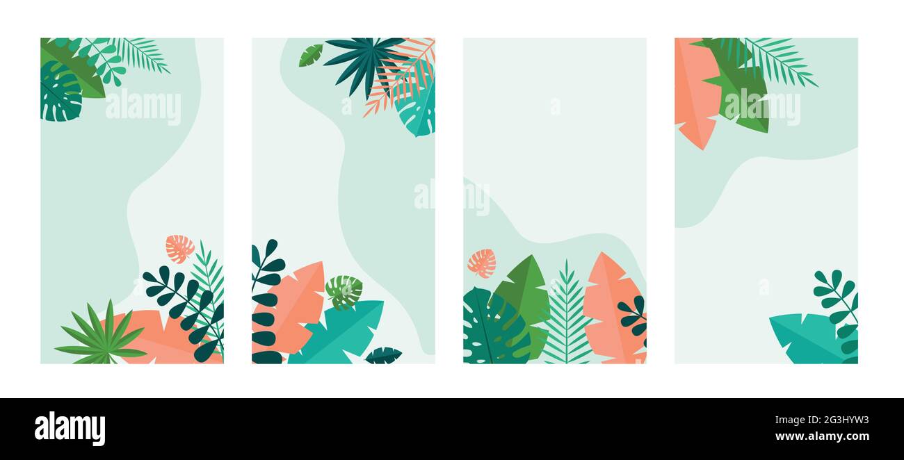 Einfache tropische Handfläche und Motstera Blätter natürlichen Set Hintergrund. Vektorgrafik EPS10 Stock Vektor