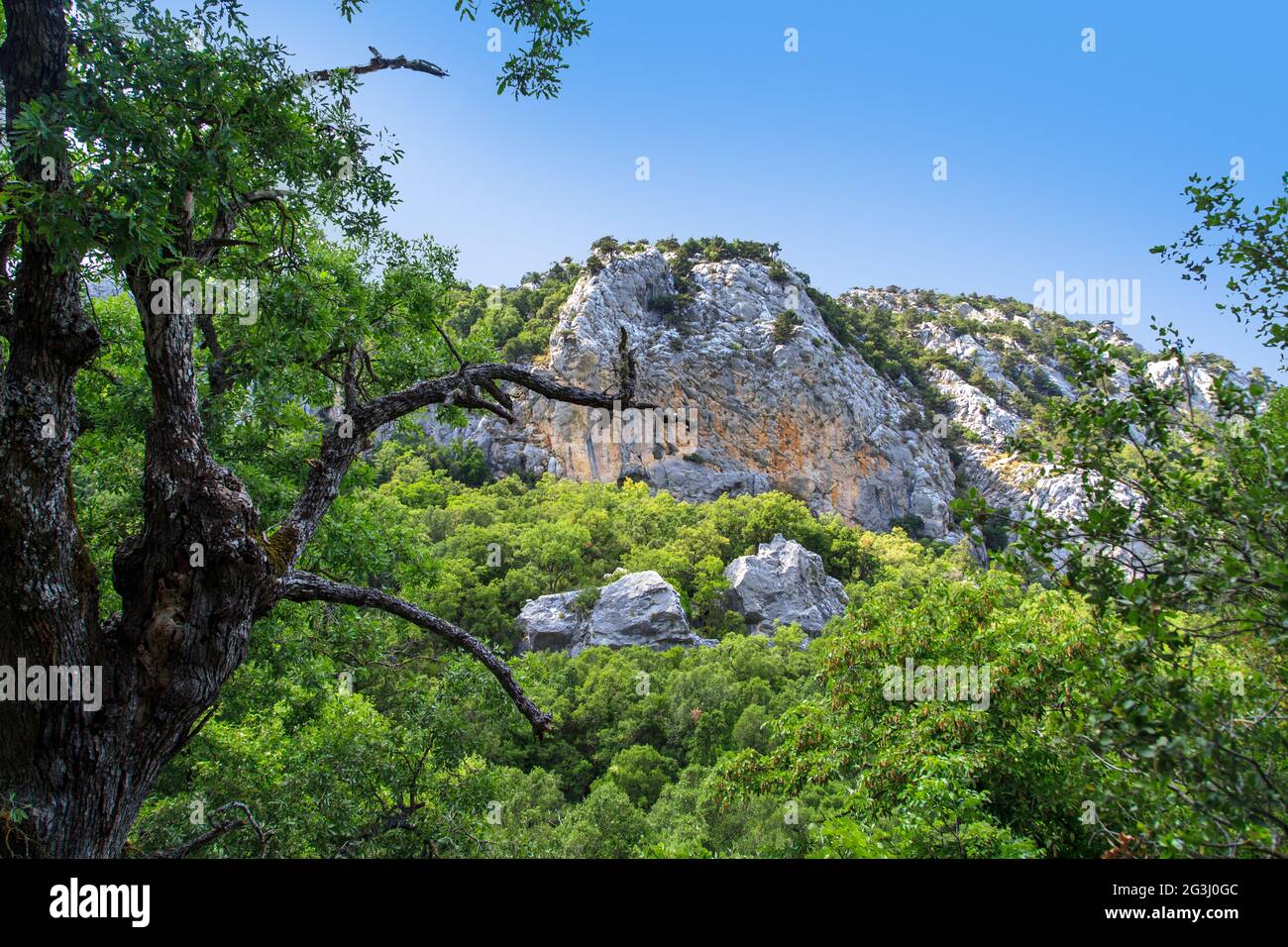 Blick auf die Berge Stockfoto