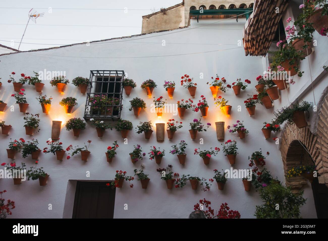 Topfpflanzen bedecken die Innenhöfe (Patios) von Wohnhäusern in Córdoba, Spanien, die im Rahmen des Patio Festivals einmal im Jahr der Öffentlichkeit zugänglich gemacht werden Stockfoto
