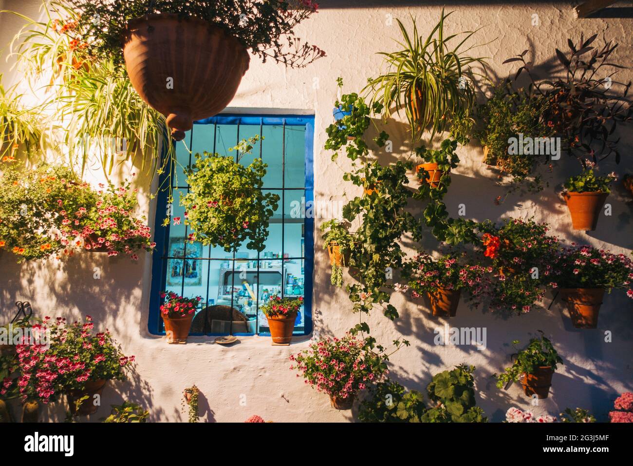 Ein Fenster mit Topfpflanzen in einem Haus in Córdoba, Spanien. Viele Bewohner öffnen ihre Häuser einmal im Jahr im Rahmen des Patio Festivals für die Öffentlichkeit Stockfoto