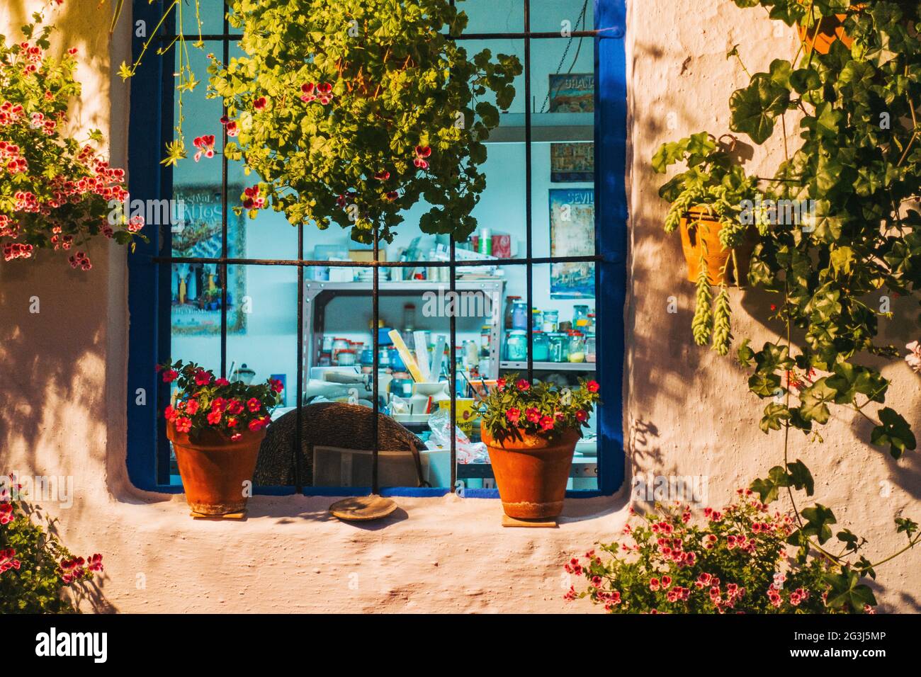 Ein Fenster mit Topfpflanzen in einem Haus in Córdoba, Spanien. Viele Bewohner öffnen ihre Häuser einmal im Jahr im Rahmen des Patio Festivals für die Öffentlichkeit Stockfoto