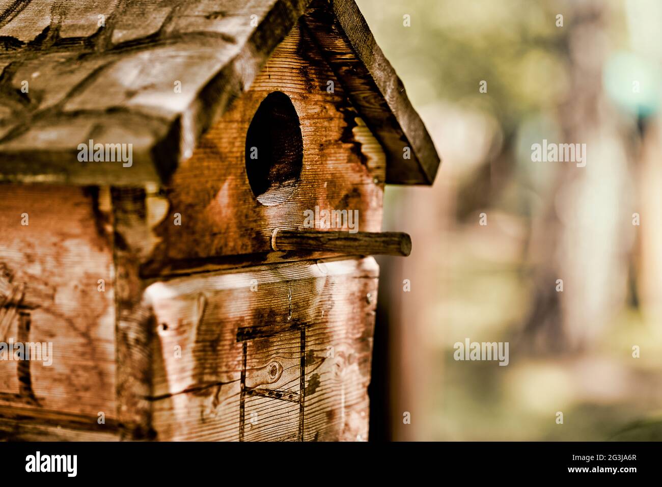 Selektives Fokusfoto eines gemütlichen Vogelhauses auf einem Baum vor dem Hintergrund einer sommerlichen Waldlandschaft Stockfoto