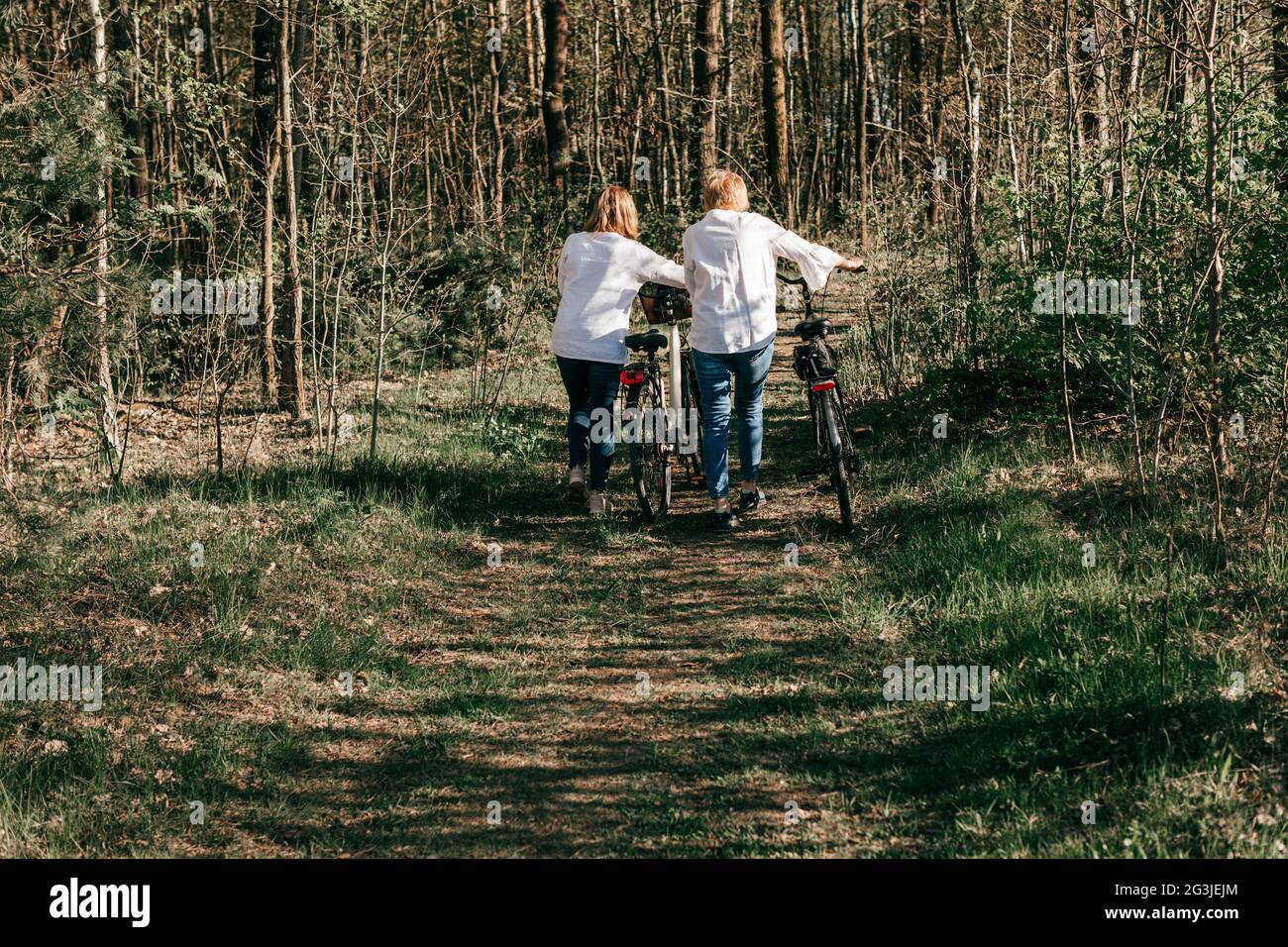 Zwei reife Freundinnen laufen mit Fahrrädern im Wald entlang der Straße. Rückansicht Stockfoto