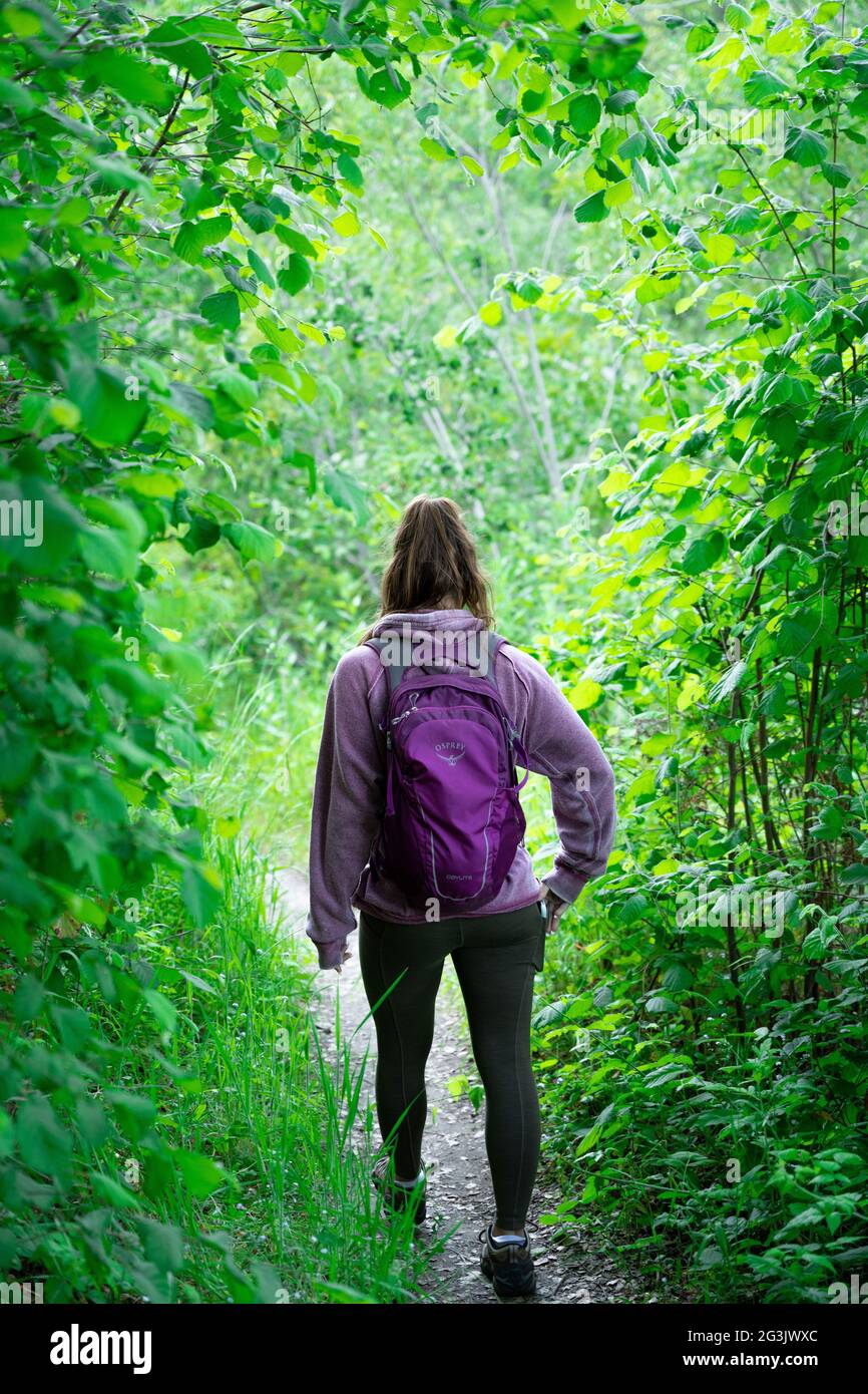 Wandern Sie durch die Berge von Santa Cruz in Kalifornien, aufgenommen mit dem Sony A7RIV 61mp hochauflösende Fotos. Viel Spaß. Stockfoto