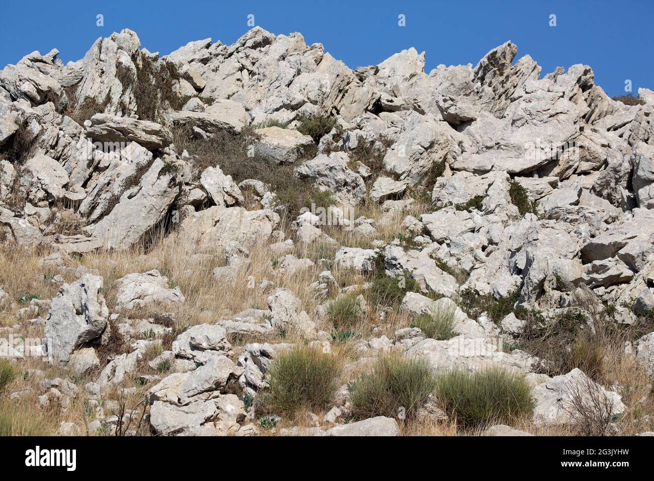 Aufschluss aus Jurassic Kalkstein an den unteren Hängen des Mt. Hermon im Norden Israels Stockfoto