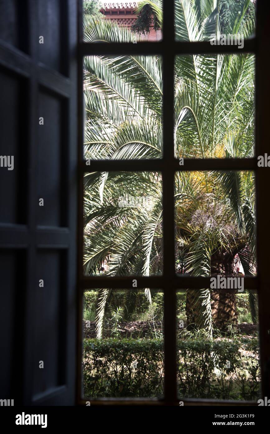 Blick vom alten Fenster mit Brille Stockfoto