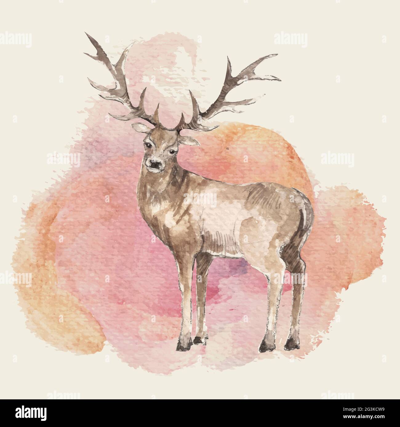 Hand gezeichneter hirsch -Fotos und -Bildmaterial in hoher Auflösung