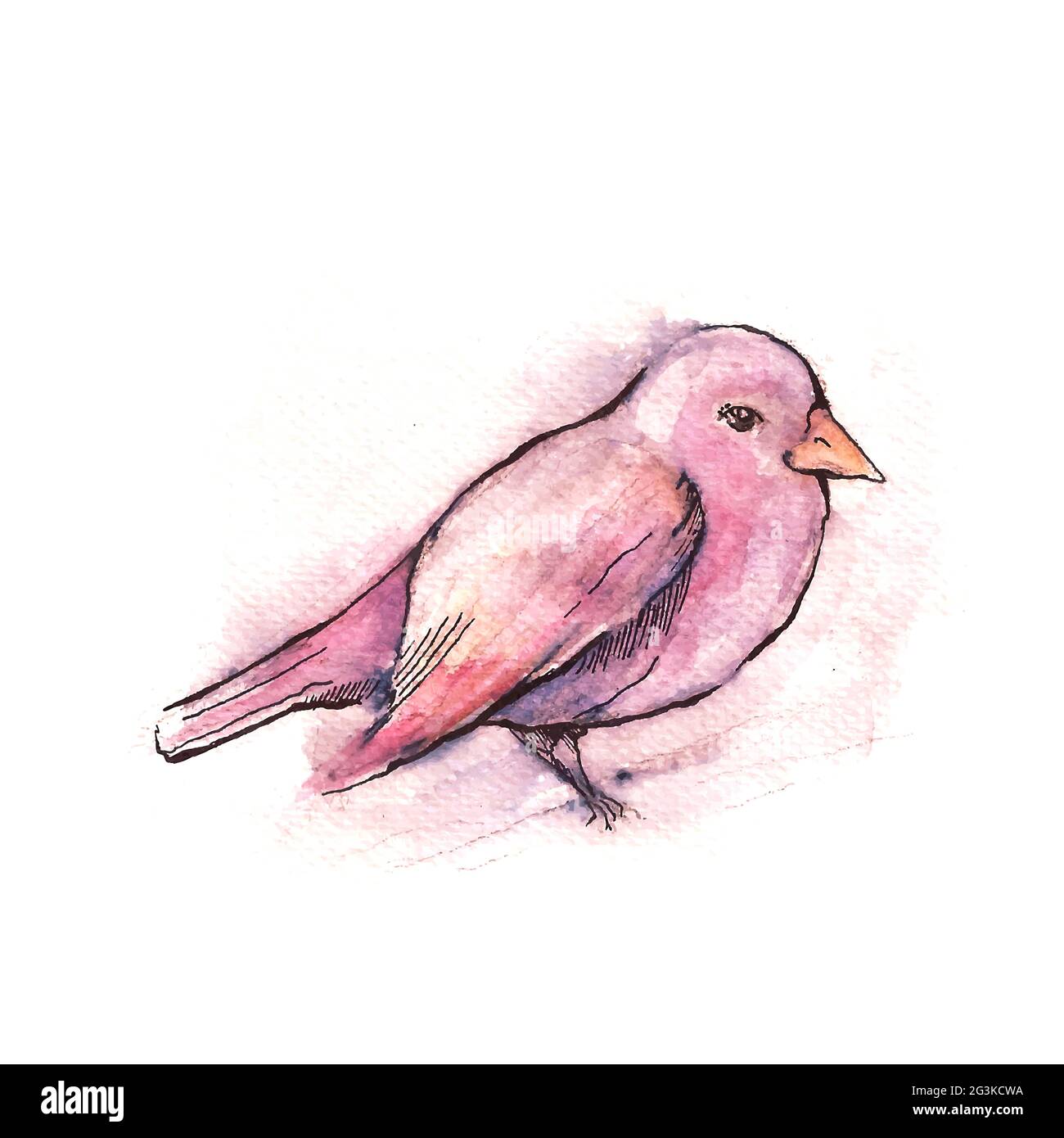 Illustration eines handgezeichneten rosa Vogels, Aquarell-Stil Stockfoto