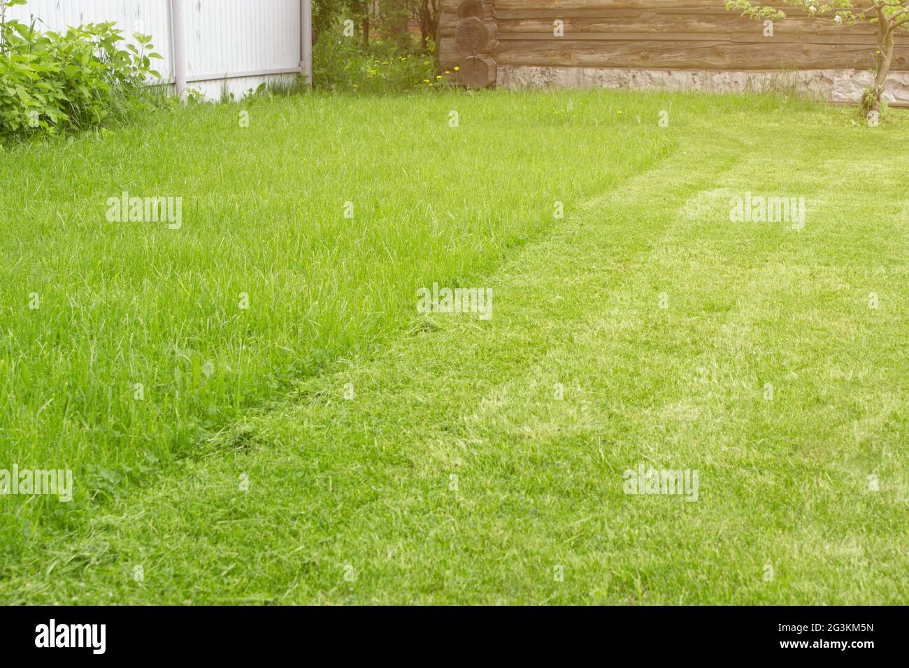 Frischer Rasenmäher, Der Gras Schneidet. Gartenarbeit Hintergrund. Garten- und Landschaftskonzept. Stockfoto