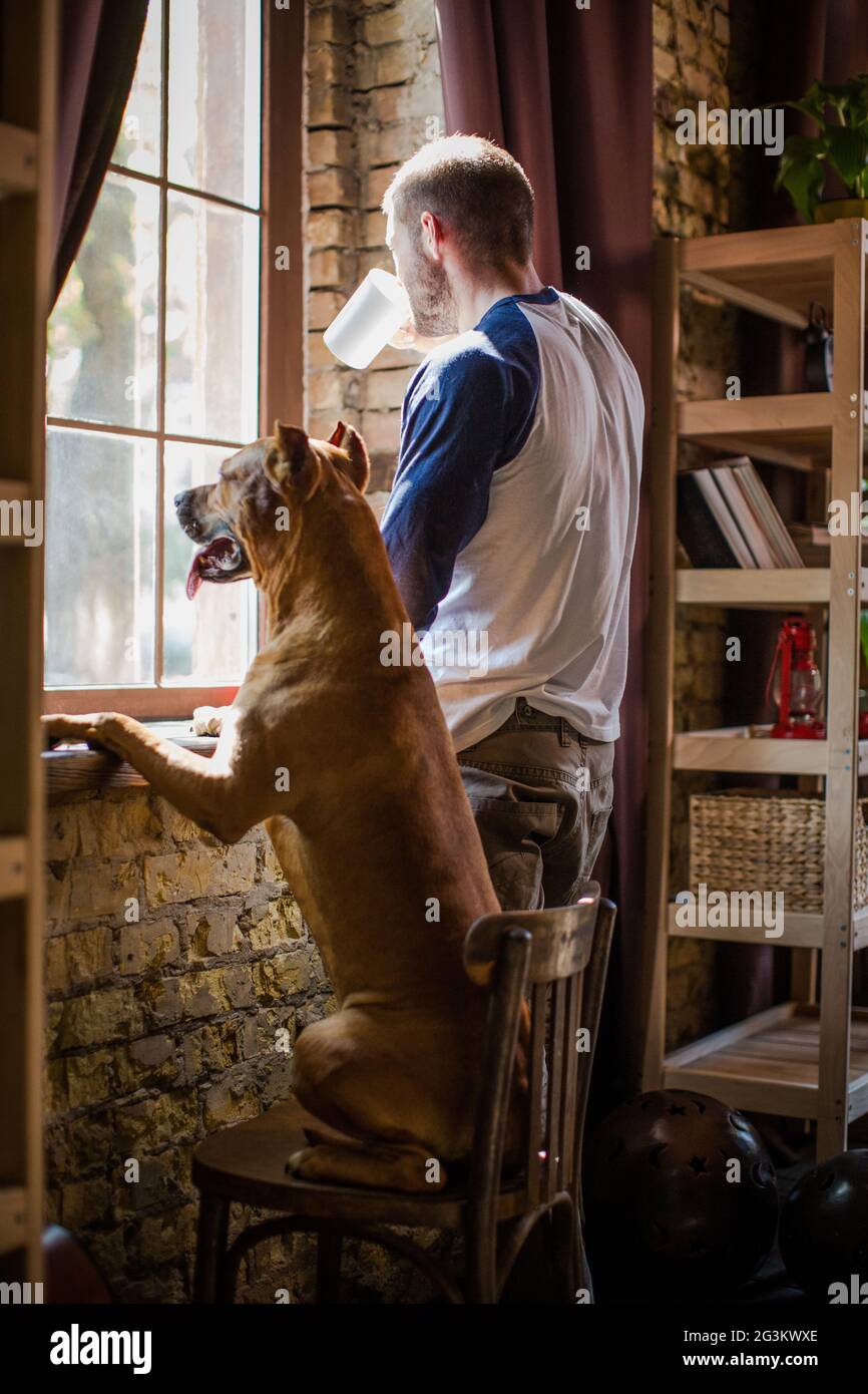 Blick auf den jungen Mann, der durch das Fenster in ein Unternehmen von seinem Hund. Stockfoto