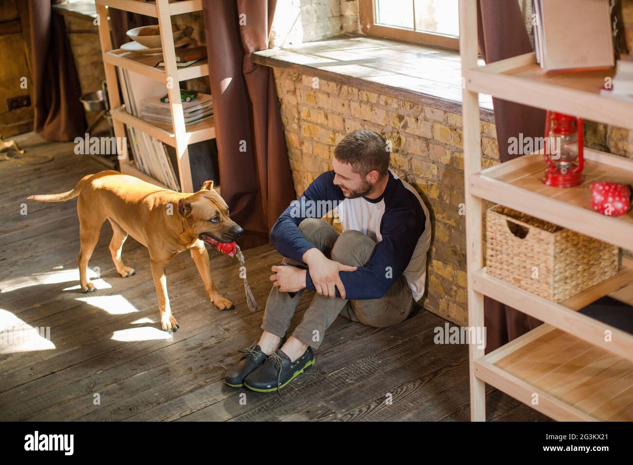 Blick von oben auf die Menschen sitzen auf dem Boden, seinen Hund holding Spielzeug in die Zähne. Stockfoto