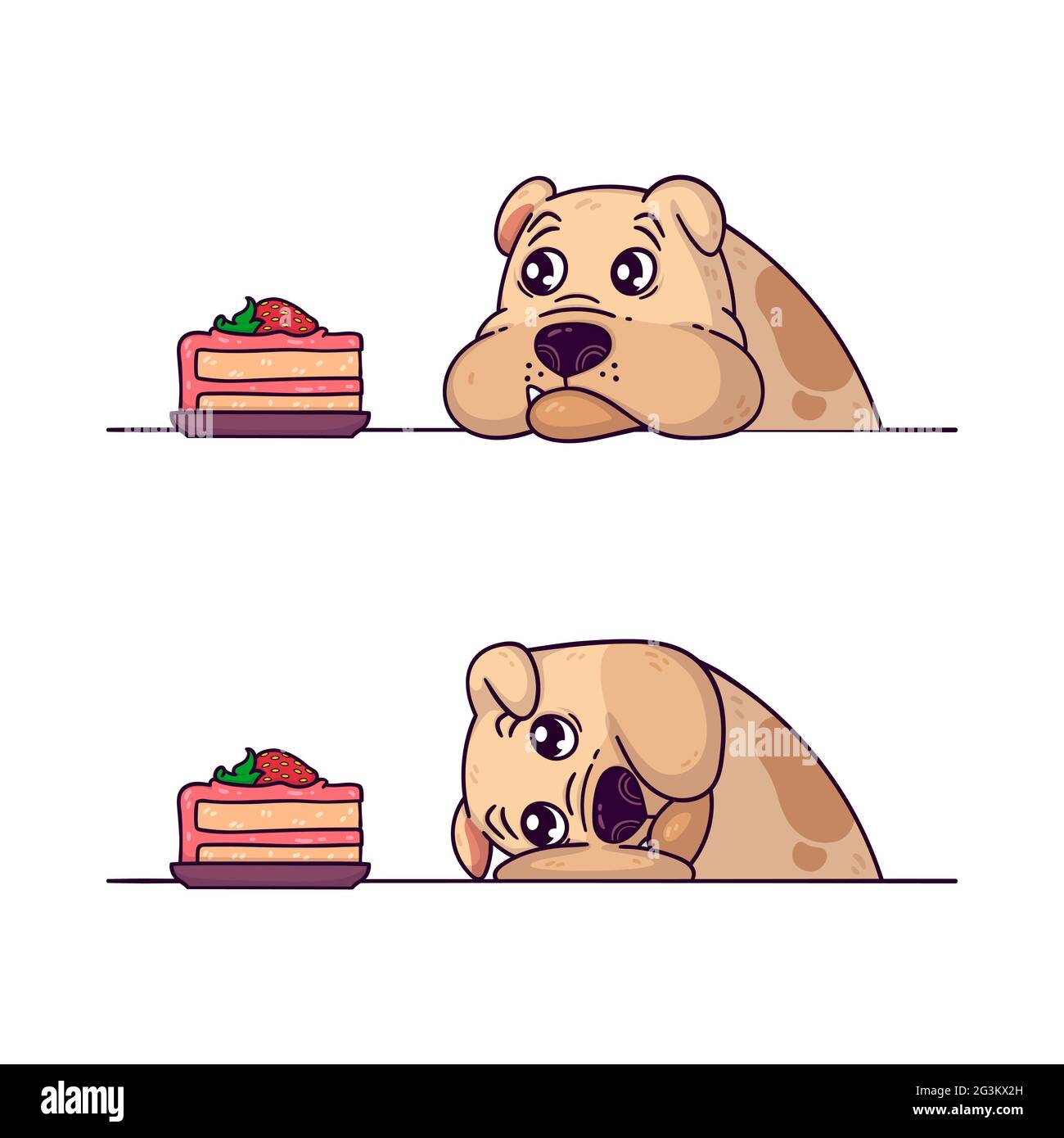 Die Bulldogge schaut auf ein Stück Kuchen. Ausdauertraining mit deinem Hund. Fettleibigkeit von Haustieren. Vektordarstellung auf weißem Hintergrund isoliert. Stock Vektor