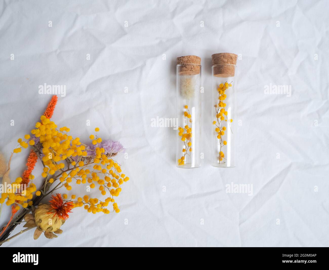 Handgemachte getrocknete Blumen in Glasrohr Geschenk auf weißem Hintergrund Stockfoto