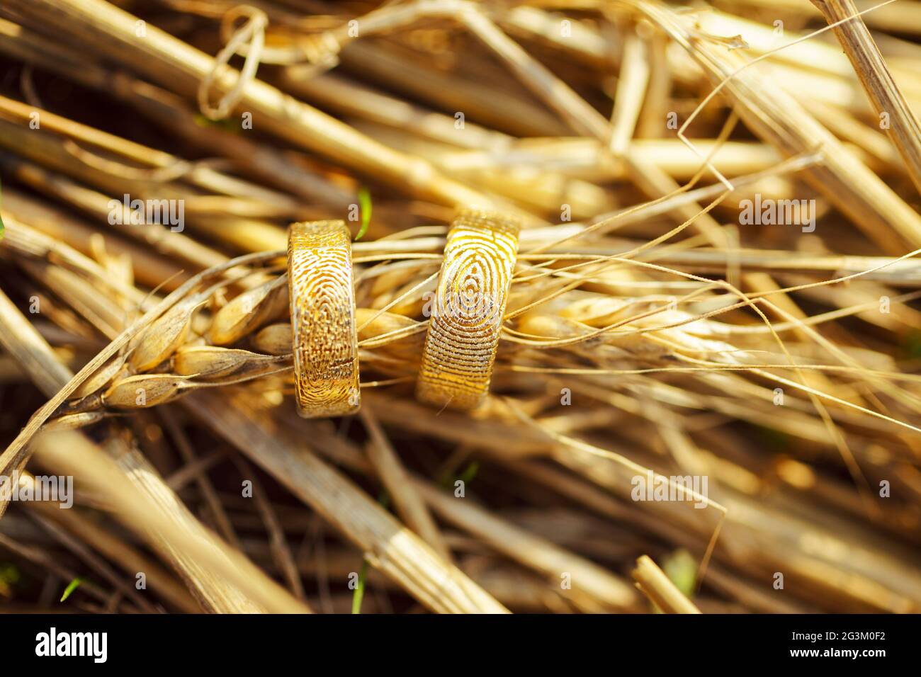 Eheringe auf Weizenspieß Stockfoto