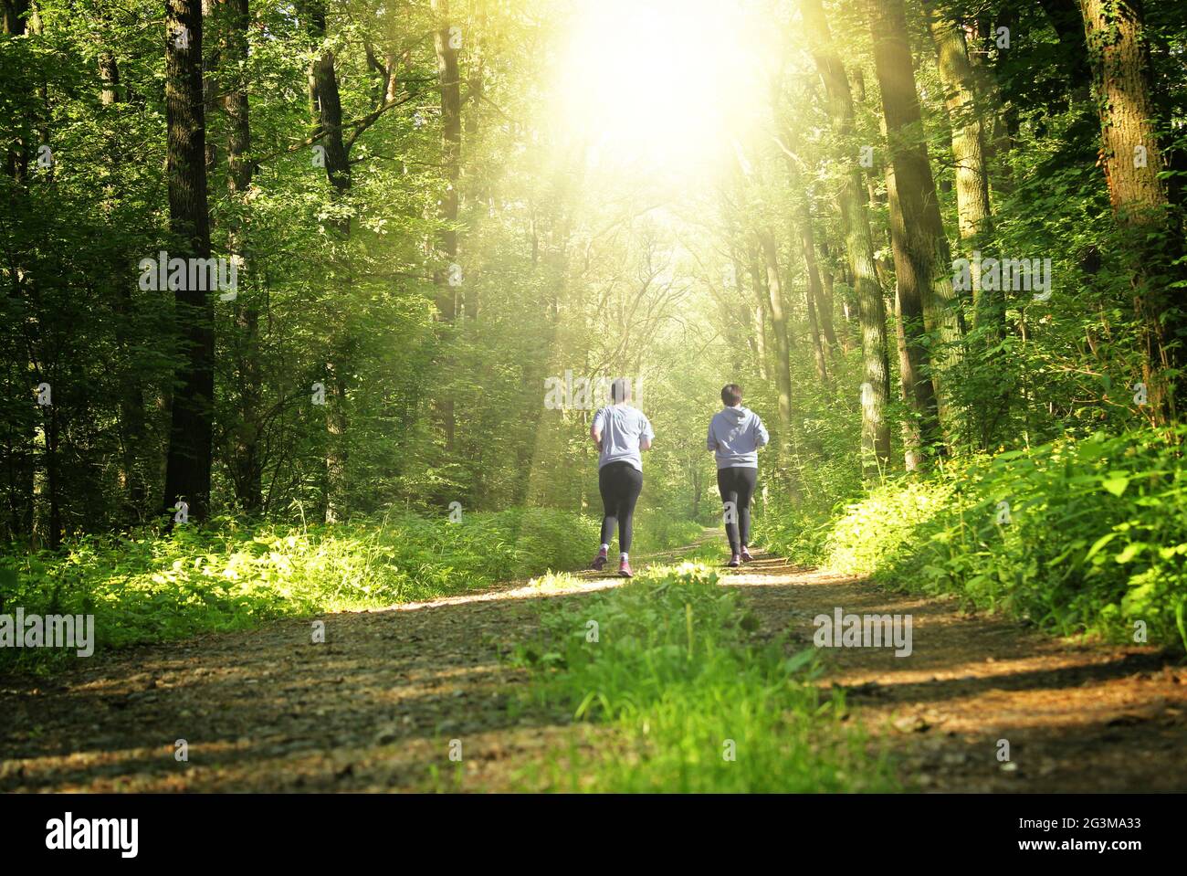 Durch den Park laufen Stockfoto