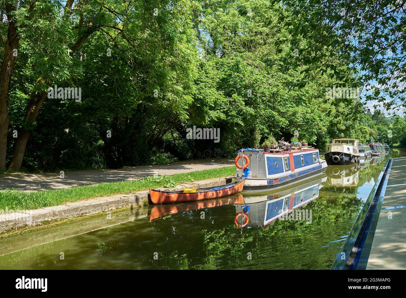 Boote, die auf dem Kennet & Avon Kanal in Bradford upon Avon, Südwestengland, Großbritannien, festgemacht wurden Stockfoto