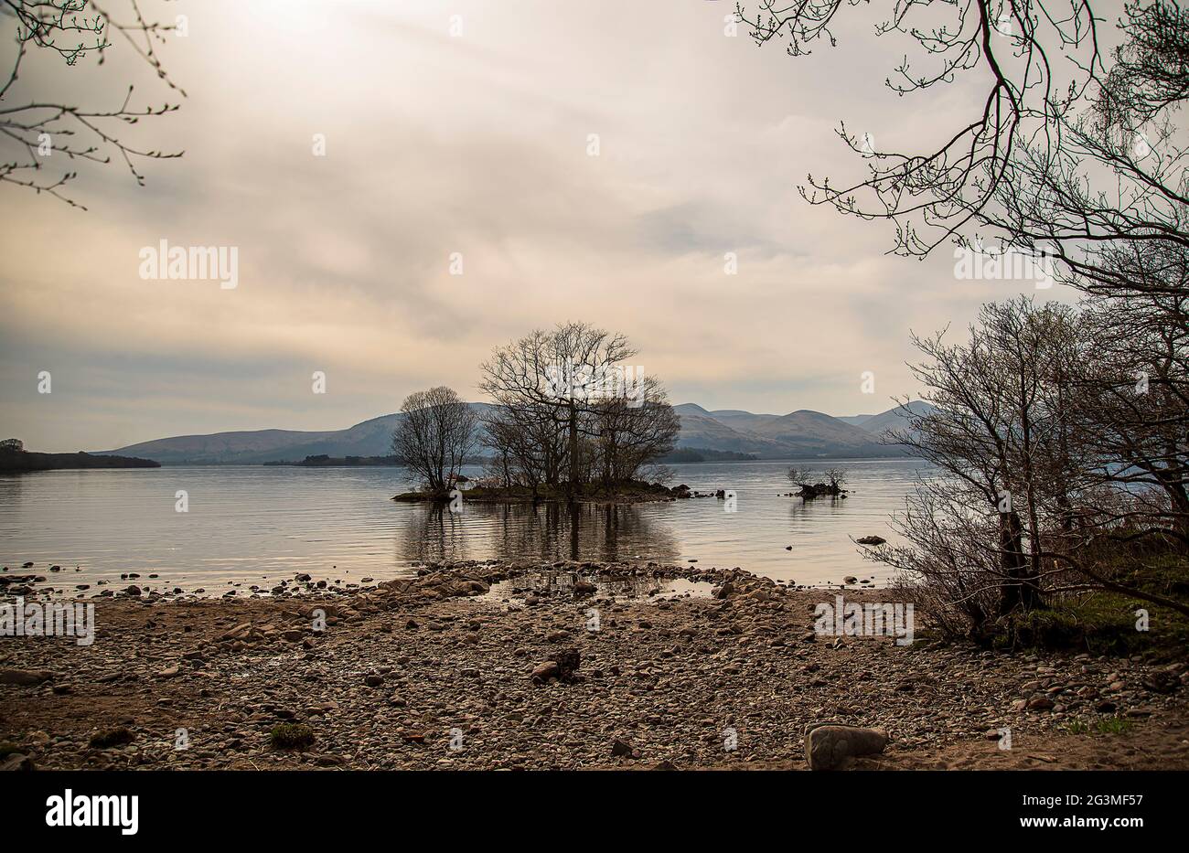 Landschaftsfotografie von See und Bäumen Frühling Stockfoto