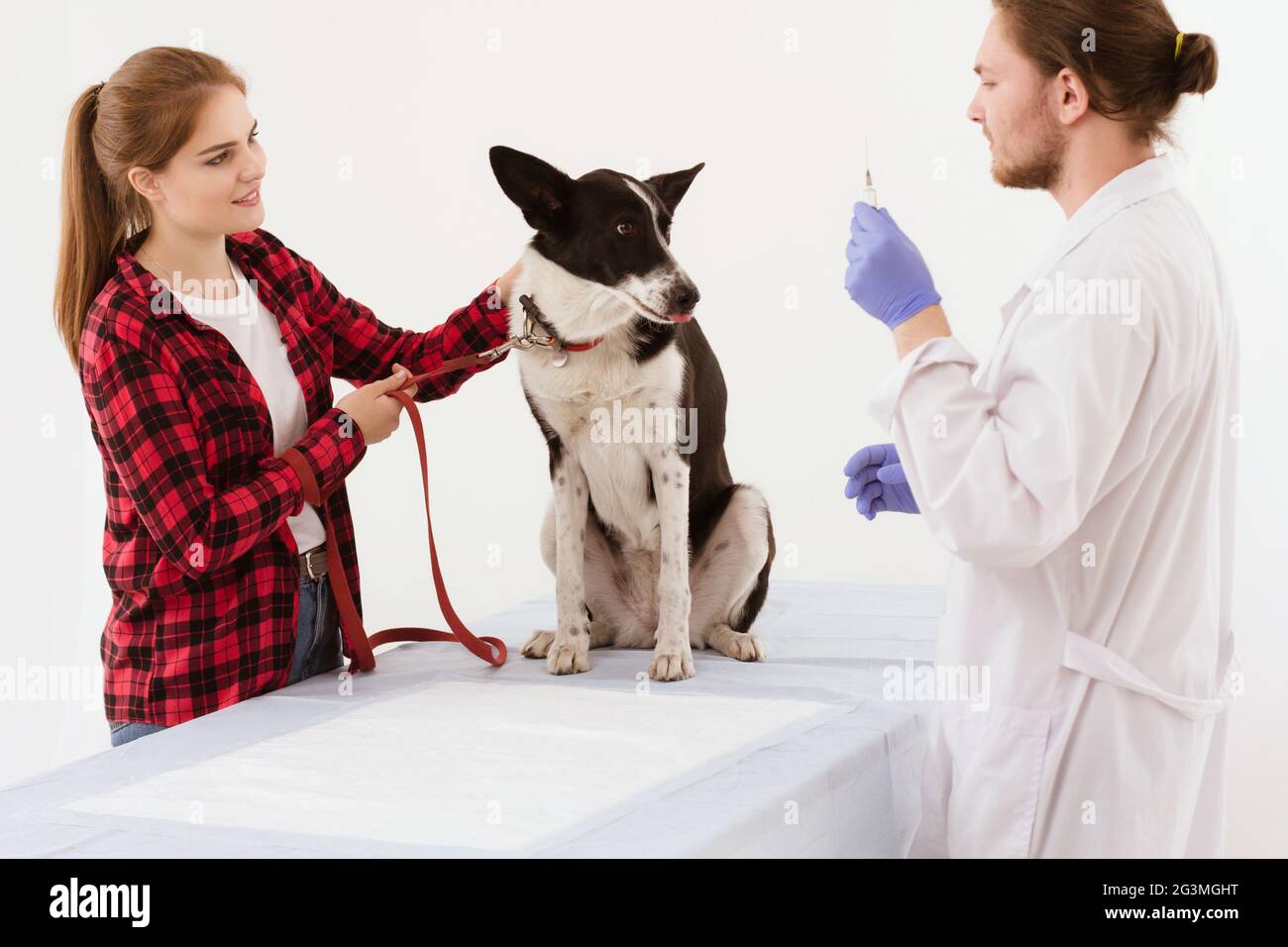 Hund, geprüft an der Tierklinik mit thir Eigentümer. Stockfoto