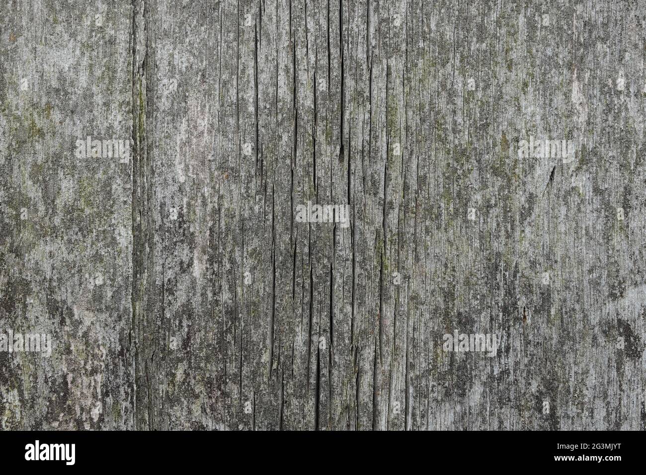 Die Textur alter rauer Holzplanken, die durch Zeit und Wetter geknackt sind. Stockfoto