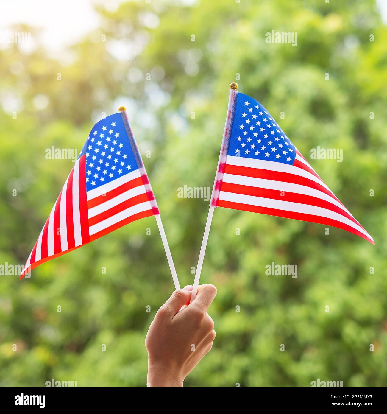 Hand hält die Flagge der Vereinigten Staaten von Amerika auf grünem Hintergrund. USA Feiertag der Veteranen, Memorial, Unabhängigkeit (4. Juli) und Labor Day concep Stockfoto