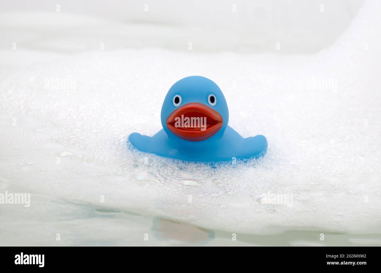Blaue Ente in einer Badewanne Stockfoto