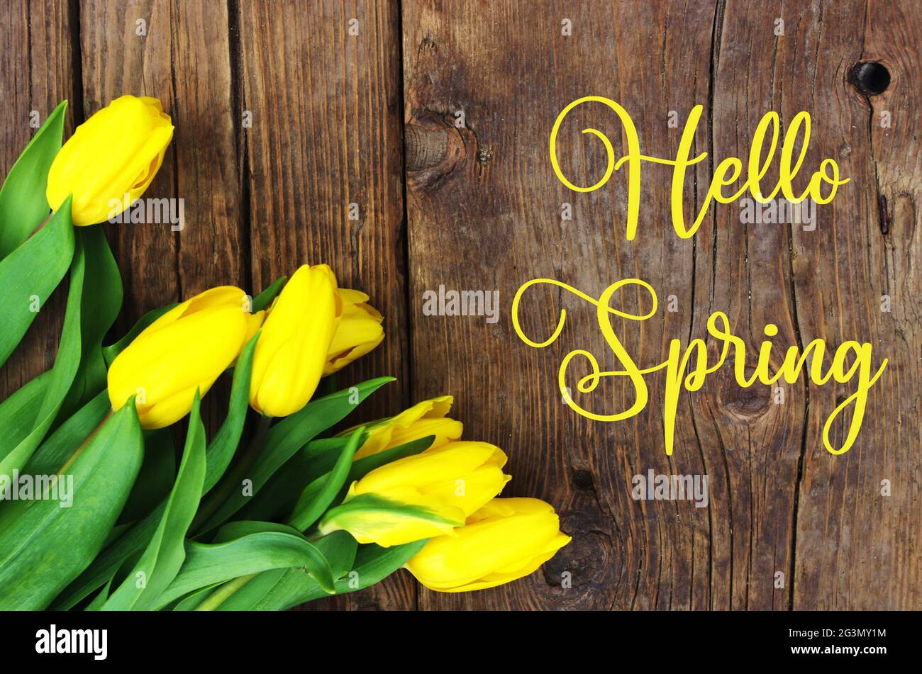 Hallo Frühling, Grußkarte Text mit schönen gelben Frühlingstulpen auf Holz rustikalen Hintergrund . Gelbe Tulpen mit Text Hallo Frühling. Grußkarte. Stockfoto