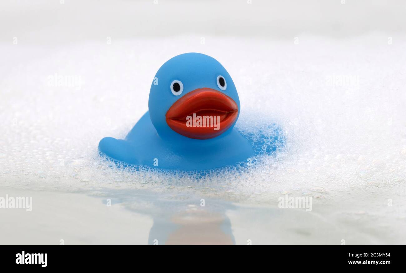 Blaue Ente in einer Badewanne Stockfoto
