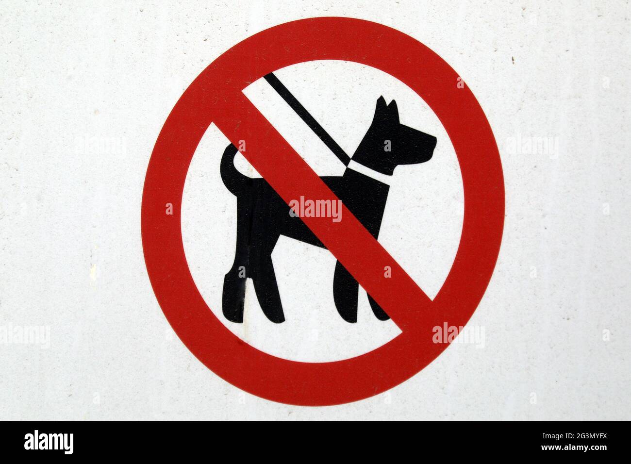 '26.03.2021, Dubai, , Vereinigte Arabische Emirate - Schild: Hunde nicht erlaubt. 00S210326D586CAROEX.JPG [MODEL RELEASE: NO, PROPERTY RELEASE: NO (c) caro images Stockfoto