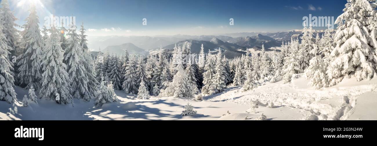 Idyllisches Winterpanorama Stockfoto