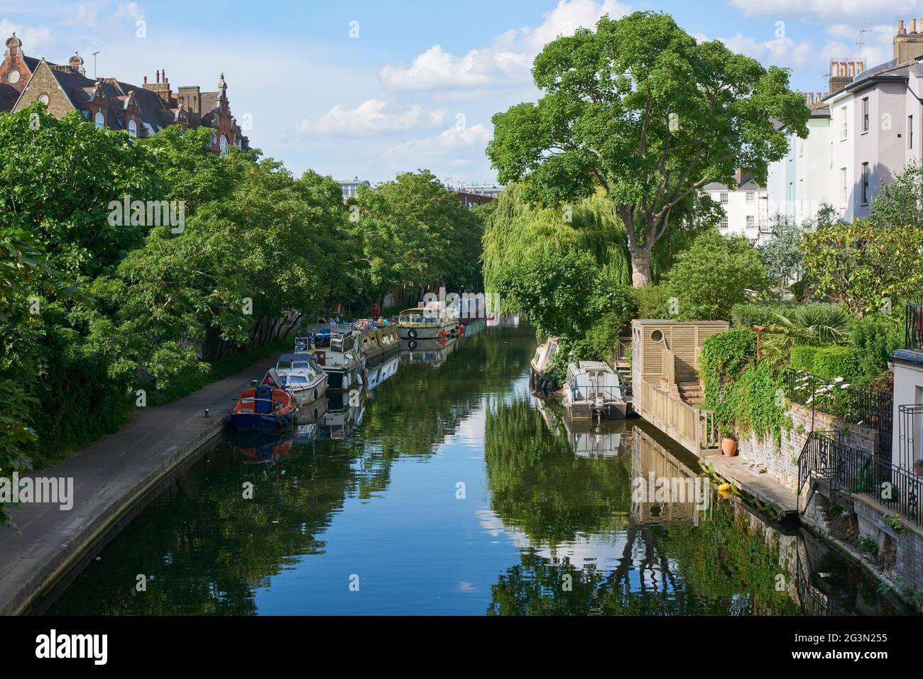 Der Regent's Canal im Sommer in Primrose Hill, North London, Großbritannien Stockfoto