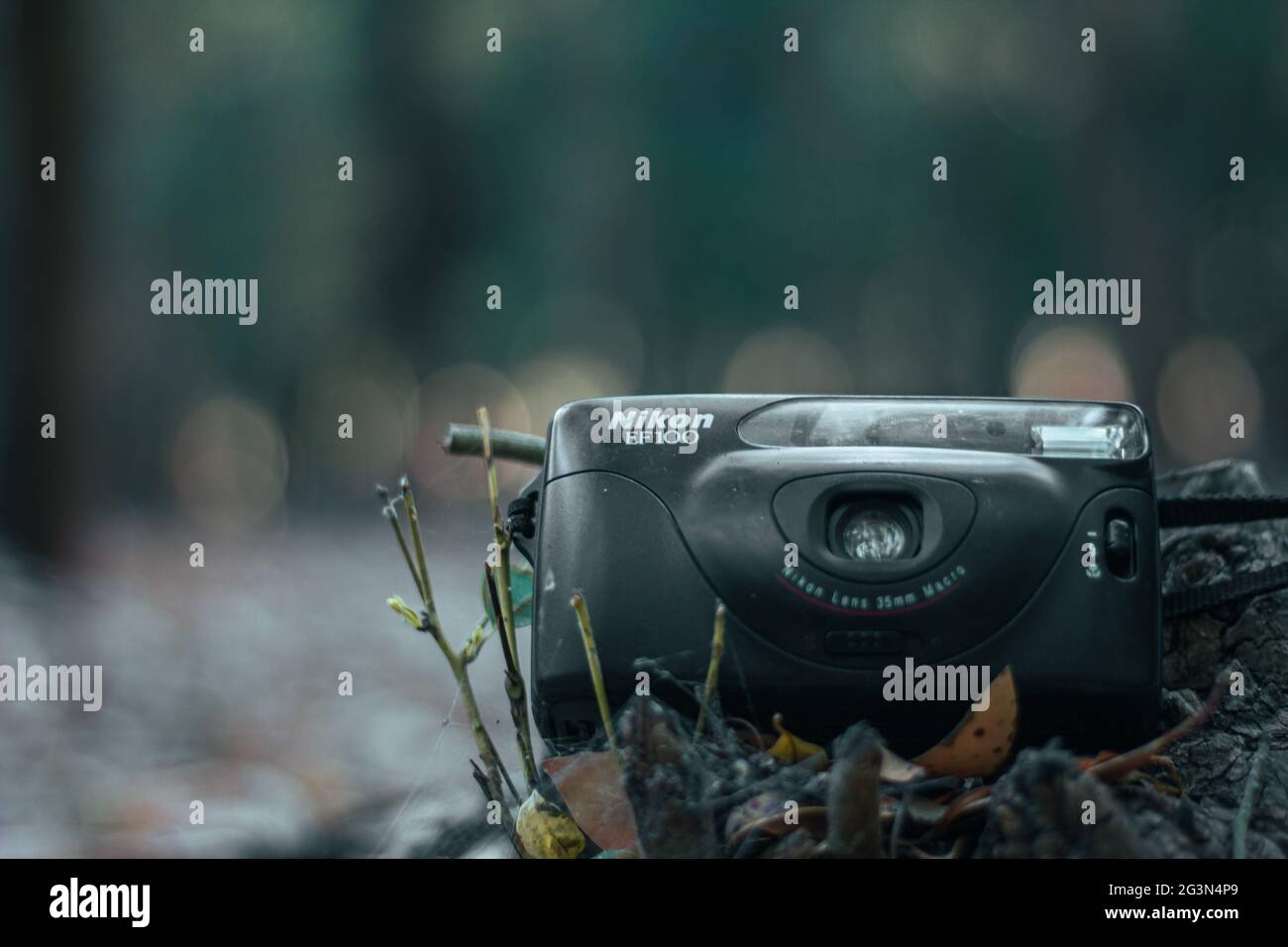 Eine alte Kamera auf einem Baumstumpf mitten im Wald, Vintage-Kamera, nikon ef100, schwarze Kamera Stockfoto